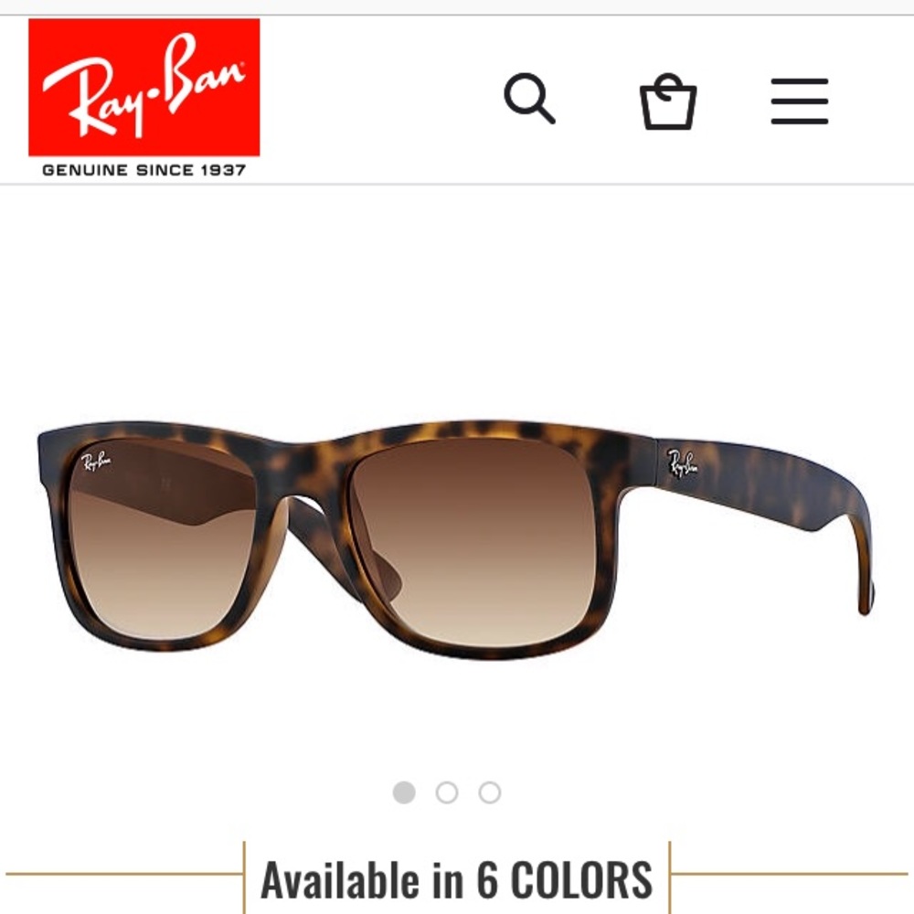 Ran Ban Tortoiseshell Wayfarers